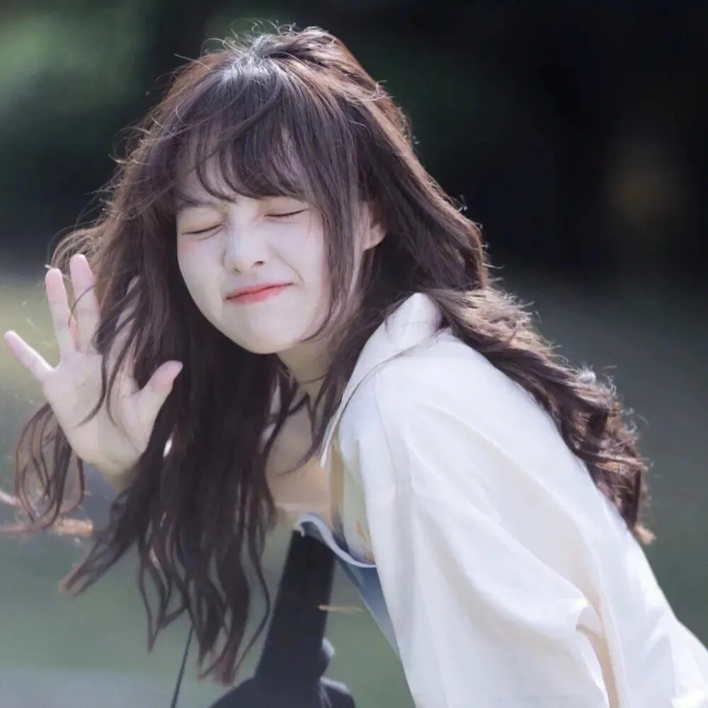 条子家族的崩溃